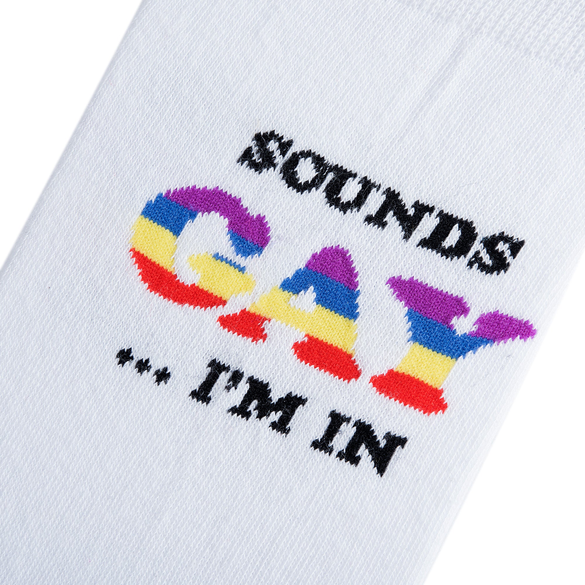 Sounds Gay I'm In Women's Crew Socks
