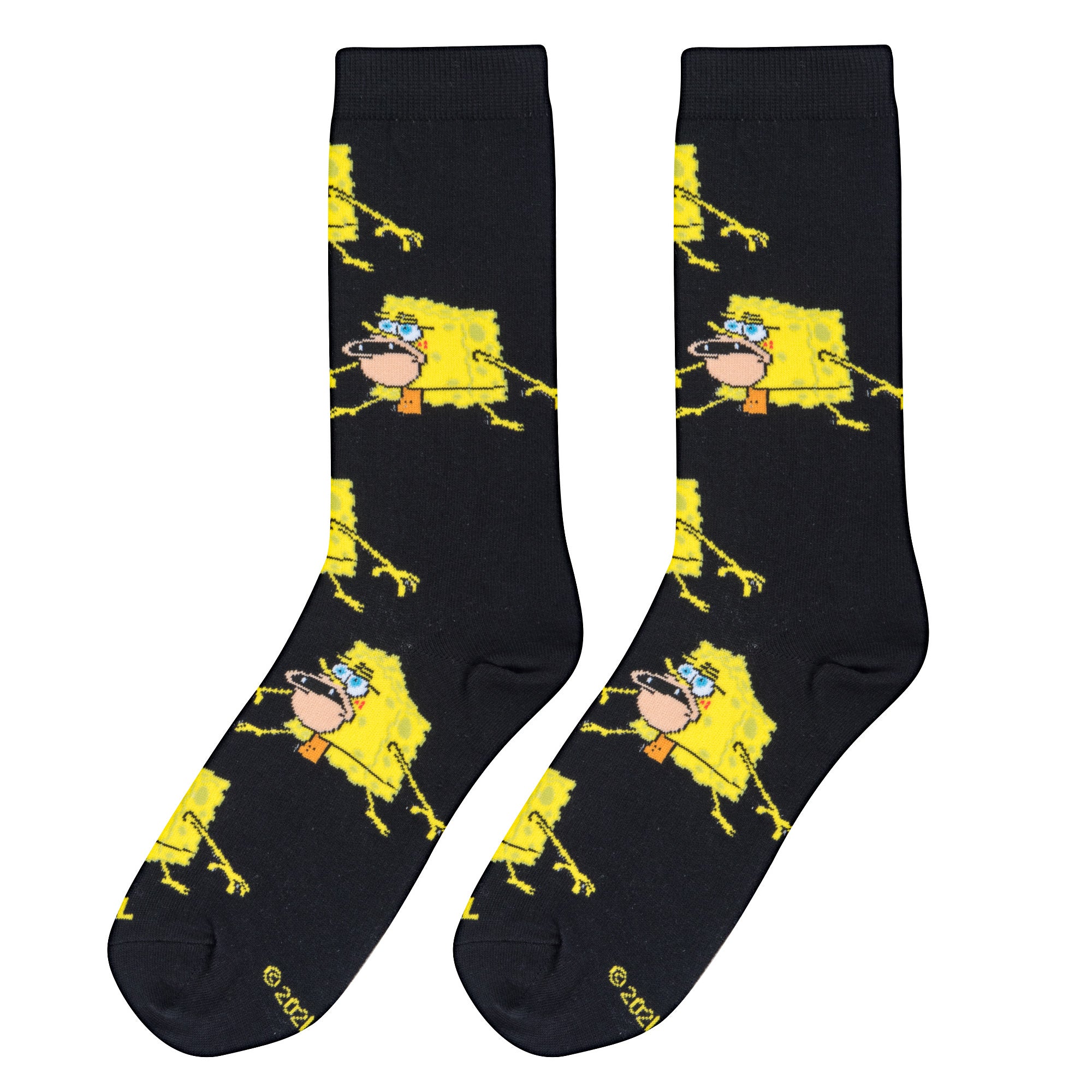 Pre-Historic Bob Women's Crew Socks