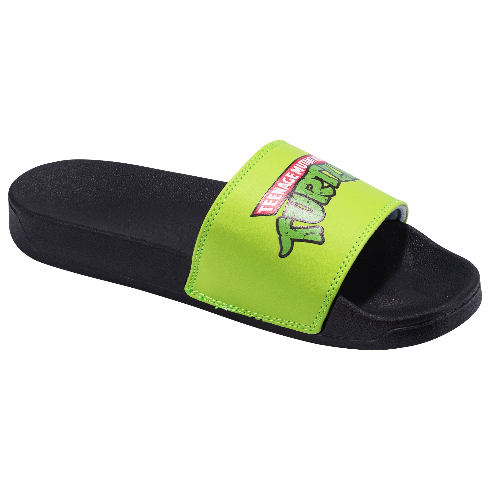 TMNT Slides