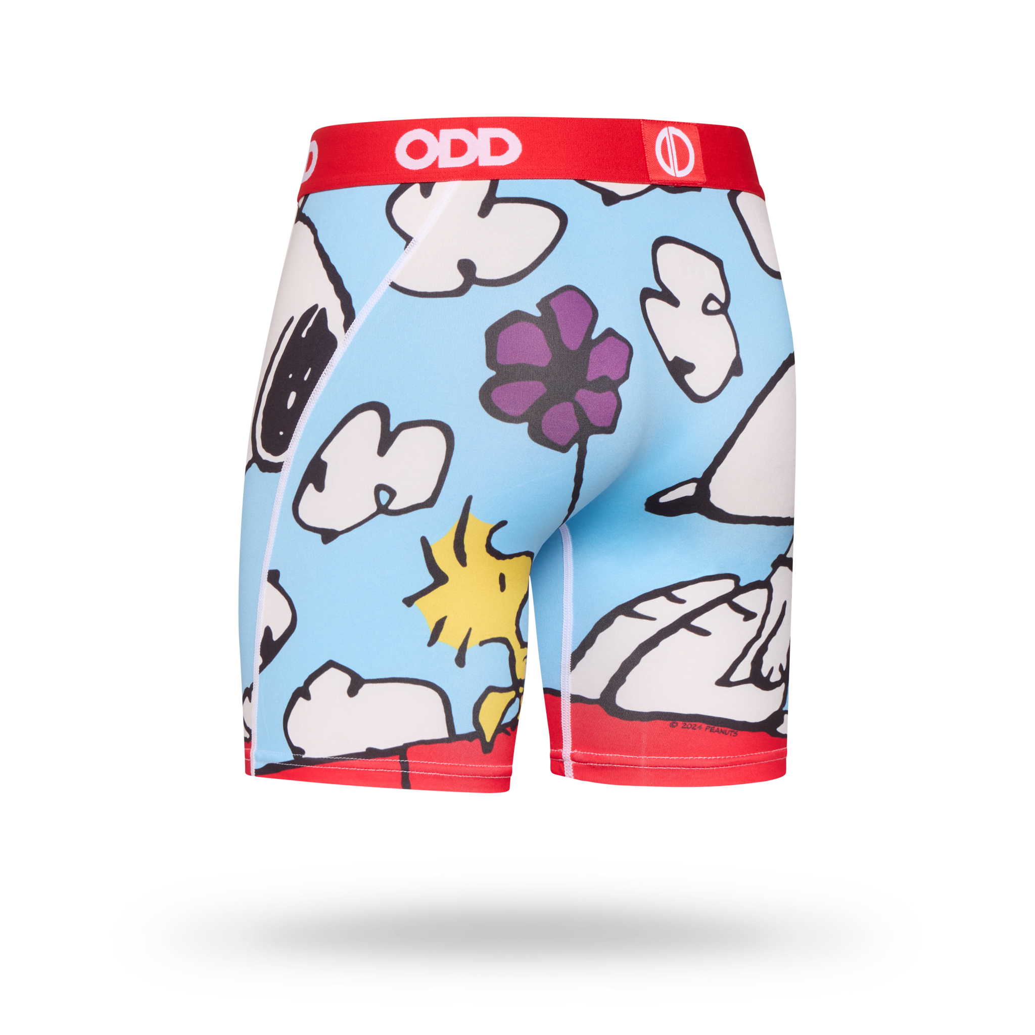 On The Dog House Men's Boxer Briefs