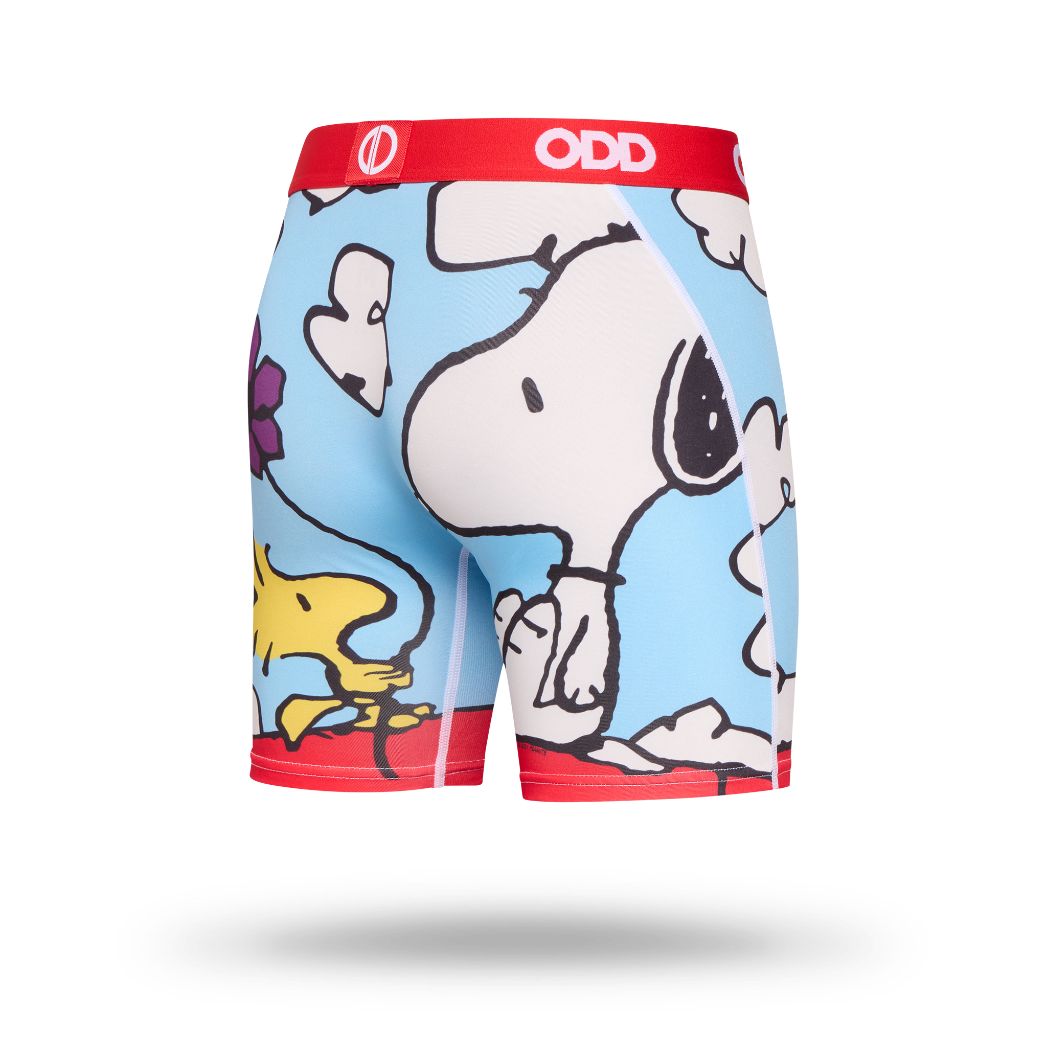 On The Dog House Men's Boxer Briefs
