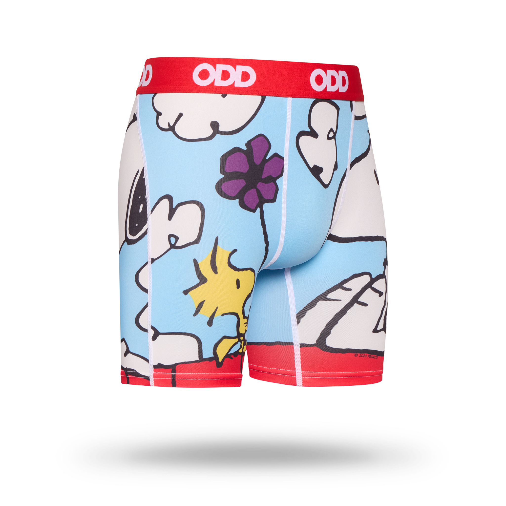 On The Dog House Men's Boxer Briefs
