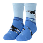 Free Willy Big Kids Crew Socks