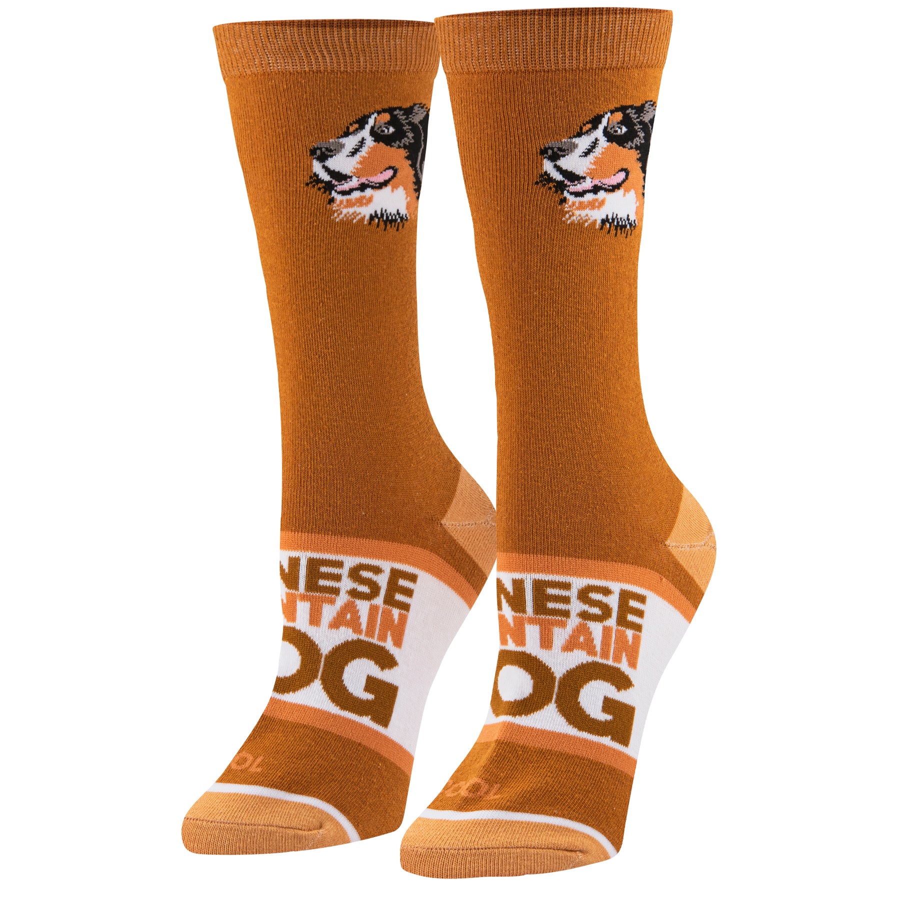 Bernese Cool Socks Womens Crew Folded ODD SOX