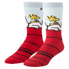 Snoopy & Woodstock Men's Crew Socks
