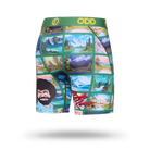 Paintings By Bob Ross Men's Boxer Briefs