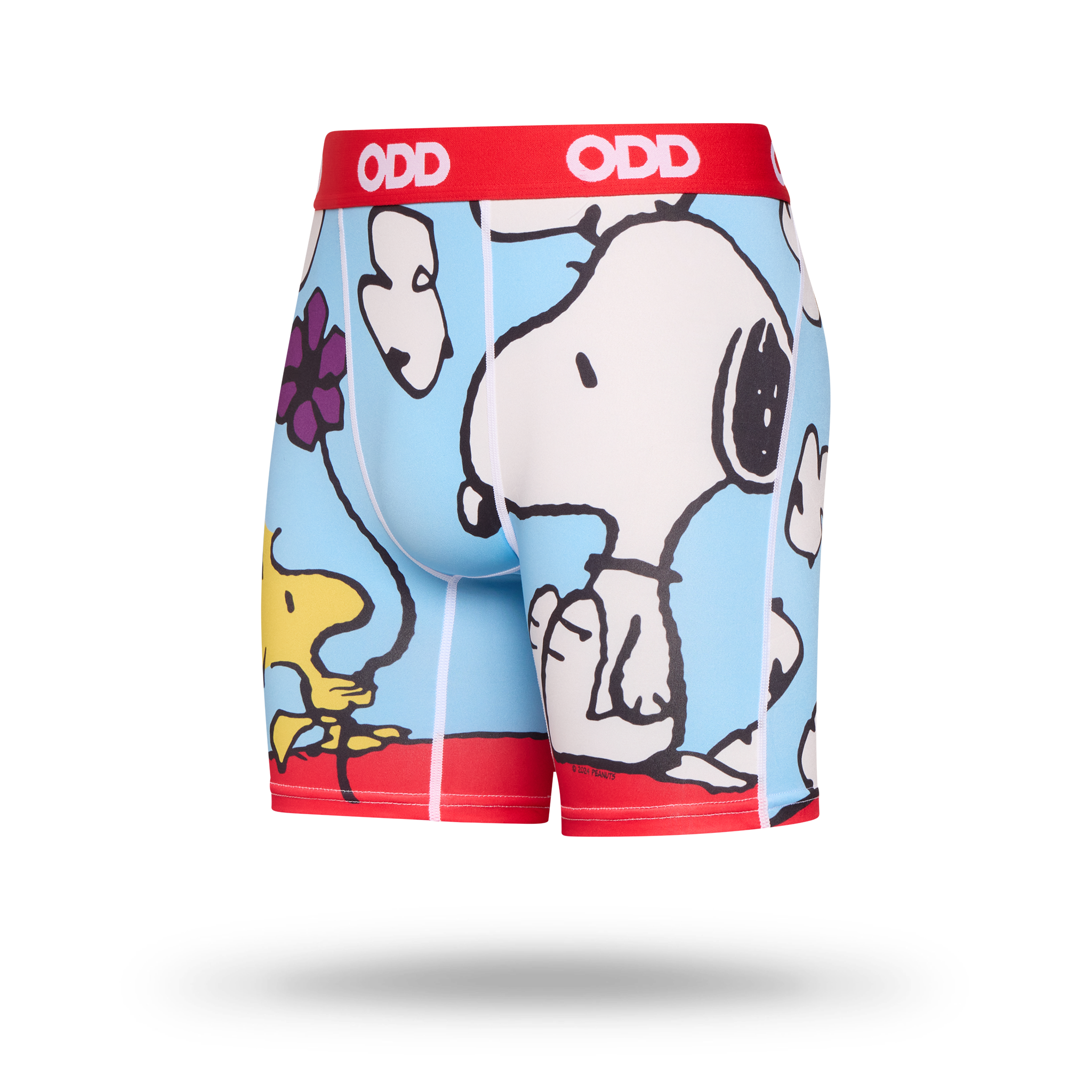 On The Dog House Men's Boxer Briefs