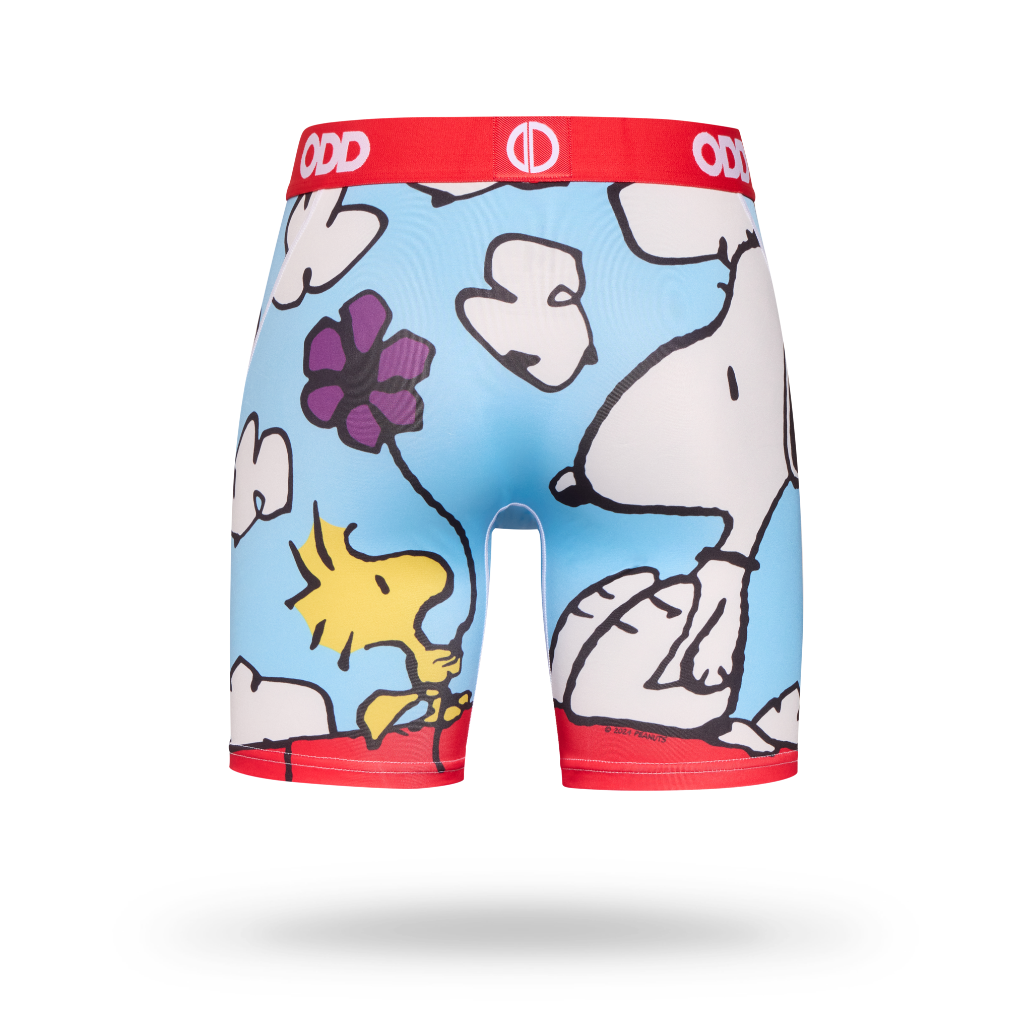 On The Dog House Men's Boxer Briefs